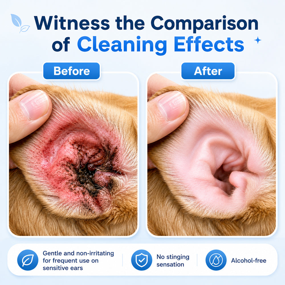 👩‍⚕️ Hardivoy® Pet Ear Cleansing Solution