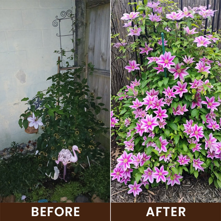 Hardivoy® Soil Activator