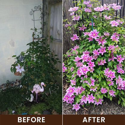 Hardivoy® Soil Activator