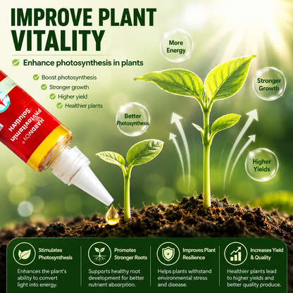Hardivoy® Phytovitamin Solution